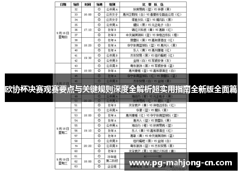 欧协杯决赛观赛要点与关键规则深度全解析超实用指南全新版全面篇